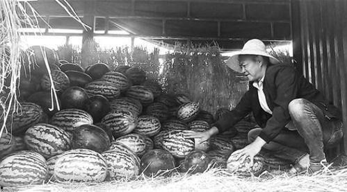 长清吃瓜群众视频曝光