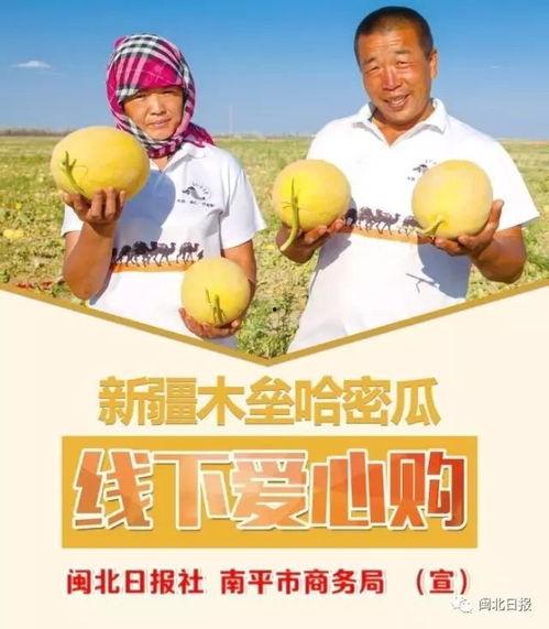 瓜瓜吃瓜活动设计点评,趣味互动，欢乐无限