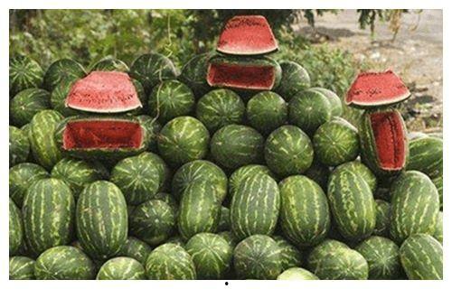 吃瓜宫,吃瓜宫背后的故事