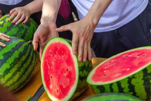 东升学校吃瓜,揭秘校园里的“瓜田”风云