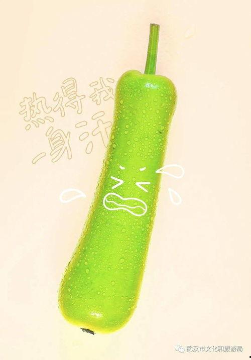 直播武汉吃瓜,一场别开生面的“吃瓜”盛宴