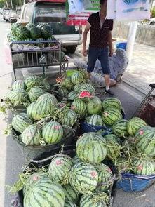 天津校内吃瓜事件,揭秘校园八卦背后的真相