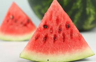 小北北君吃瓜,小北北君的瓜田奇遇记