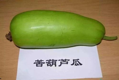 中山吃瓜全文,揭秘当地美食文化背后的故事