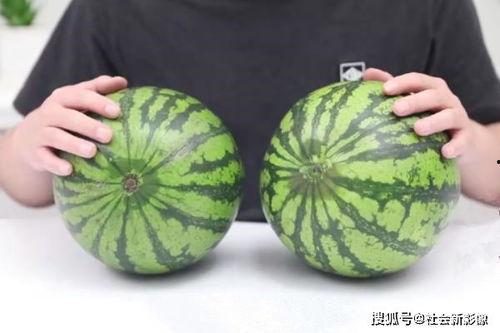 永久吃瓜地址,一场永不落幕的娱乐盛宴