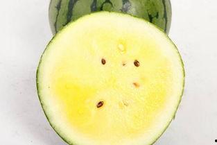 烧瓜孕妇吃,烧瓜孕妇的饮食智慧